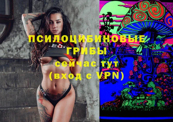 кокс Бородино