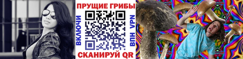 Псилоцибиновые грибы Psilocybe  Крым 